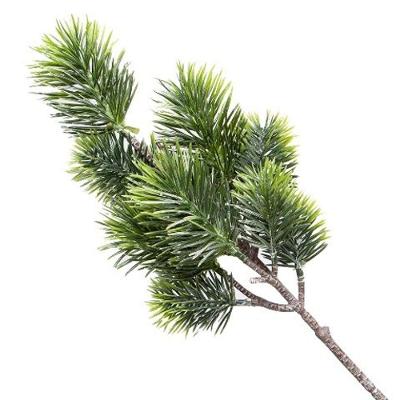 Galho Pinus 54Cm - En175