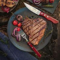 Jogo De Talheres Para Churrasco Jumbo Em Aço Inox Com Cabo Vermelho Polywood 12 Peças - Tramontina