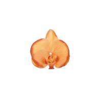 Porta Guardanapo Em Plástico Orquídea Terracota Mameg - 2