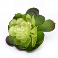 Suculenta Planta Artificial Verde 14x16 Cm - D'rossi - 1