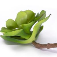 Suculenta Planta Artificial Verde 14x16 Cm - D'rossi - 3