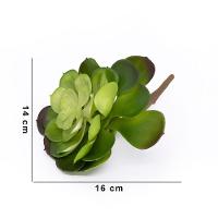 Suculenta Planta Artificial Verde 14x16 Cm - D'rossi - 4