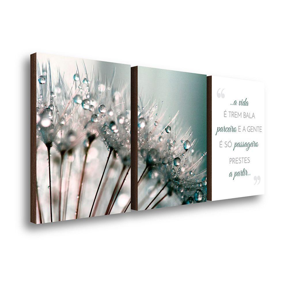Kit 3 Quadros Decorativos Dente De Leão Frase Família 40x60cm - 1