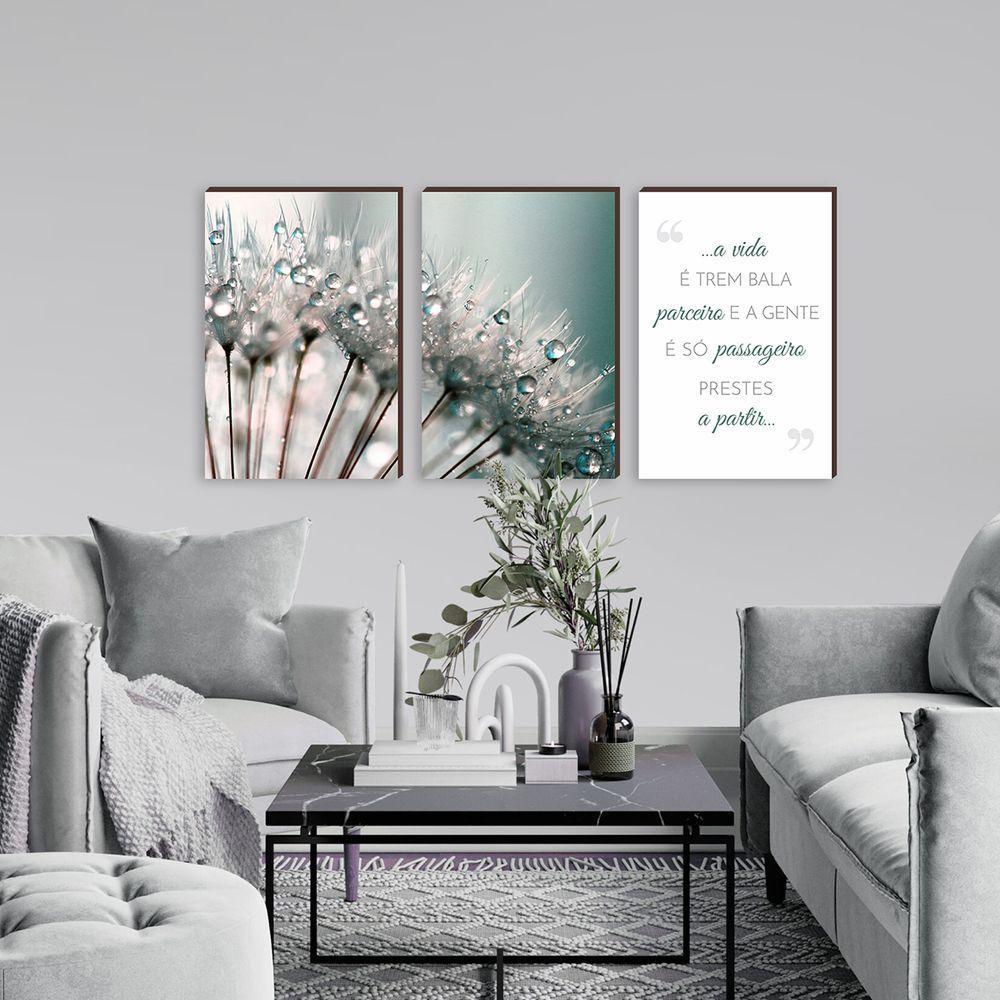 Kit 3 Quadros Decorativos Dente De Leão Frase Família 40x60cm - 3