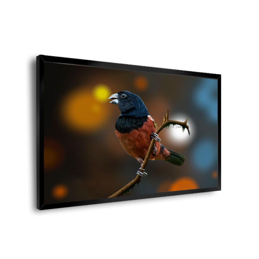 Quadro Curió -- Br Artes - 4