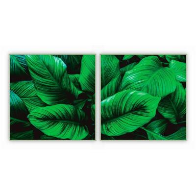 Kit Com 2 Quadros Decorativos Florais Com Moldura Para Sala Quarto Escritório 52x52 Floral 015