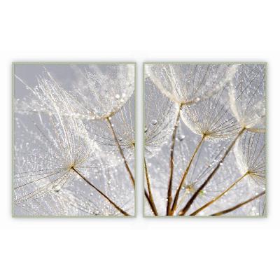 Kit Com 2 Quadros Decorativos Florais Com Moldura Para Sala Quarto Escritório 62x772 Floral 004