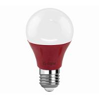 Lâmpada Led Bulbo E27 5W Bivolt Luz Vermelha G-Light - 2
