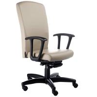 Poltrona Presidente Luxuosa Com Braços Fixos Alpha Bege - 2