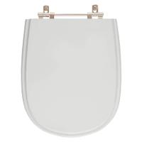 Assento Sanitario (Cinza Claro) Para Vaso Ideal Standard - 1
