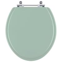 Assento Sanitario Diamantina Verde Claro Para Vaso Icasa - 1