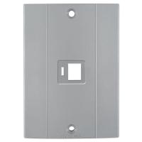 Tampa Com Suporte Para 1 Tomada Rj 45 Para Conduletes - 1