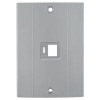 Tampa Com Suporte Para 1 Tomada Rj 45 Para Conduletes - 2