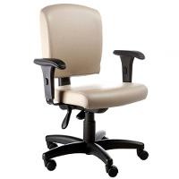 Cadeira Executiva Luxuosa Com Braços Fixos Linha Alpha Bege - 1