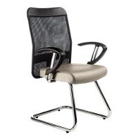 Cadeira Diretor Base Fixa Cromada Tela Mesh Bege - 2