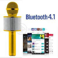 Microfone Bluetooth Wster Ws-858 S/Fio Mini Karaokê Dourado - 1