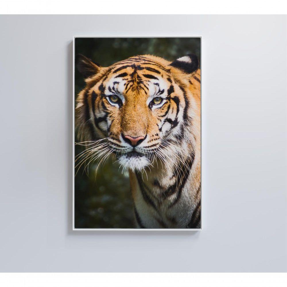 Quadro Tigre 40x60 Cm Tecido Canvas - 3