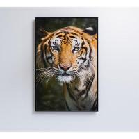 Quadro Tigre 40x60 Cm Tecido Canvas - 1