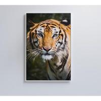 Quadro Tigre 40x60 Cm Tecido Canvas - 5