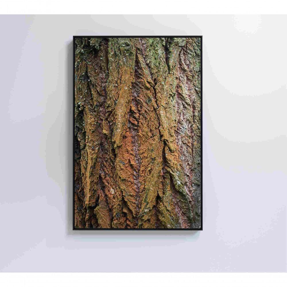 Quadro Tronco árvore Detalhe 60x90 Cm Tecido Canvas - 4