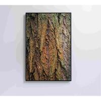 Quadro Tronco árvore Detalhe 60x90 Cm Tecido Canvas