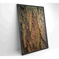Quadro Tronco árvore Detalhe 60x90 Cm Tecido Canvas - 12