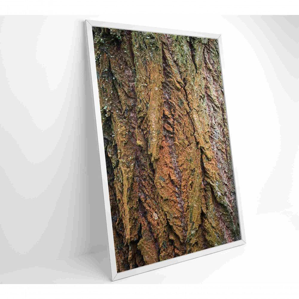 Quadro Tronco árvore Detalhe 40x60 Cm Adesivo Fotográfico - 8
