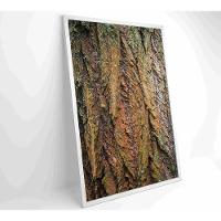 Quadro Tronco árvore Detalhe 40x60 Cm Adesivo Fotográfico - 15