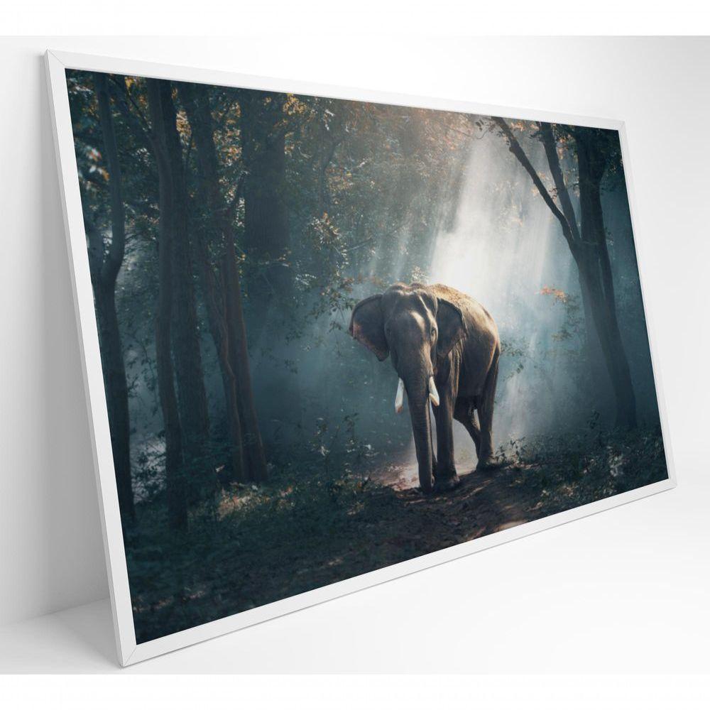 Quadro Elefante 60x40 Cm Tecido Canvas - 10