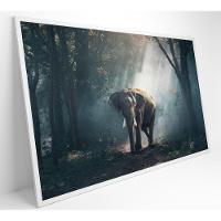 Quadro Elefante 60x40 Cm Tecido Canvas - 16