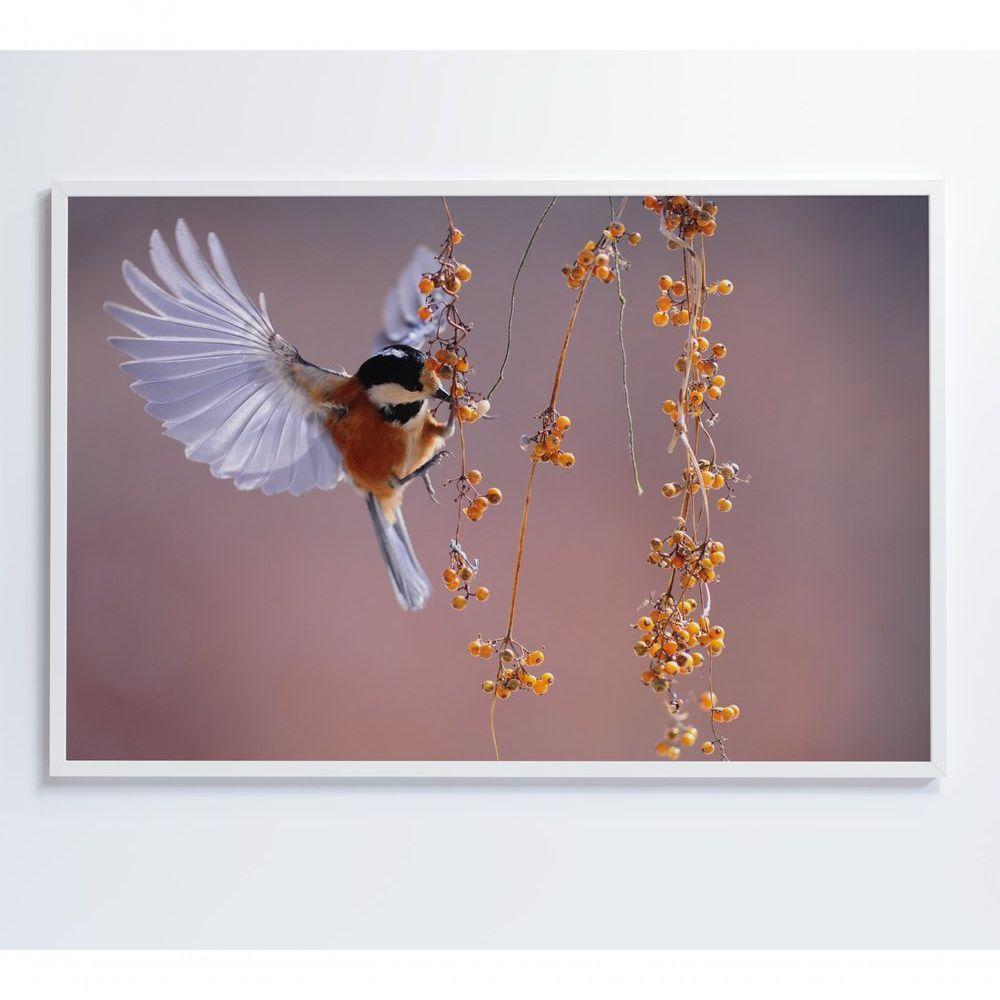 Quadro Beija Flor 60x40 Cm Tecido Canvas - 1