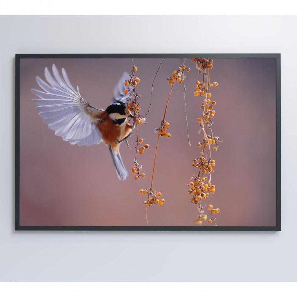 Quadro Beija Flor 60x40 Cm Tecido Canvas - 3