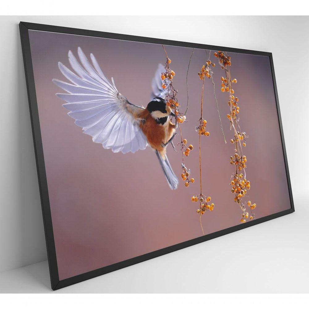 Quadro Beija Flor 60x40 Cm Tecido Canvas - 5