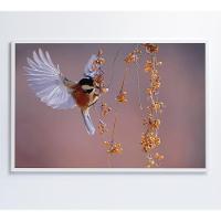 Quadro Beija Flor 60x40 Cm Tecido Canvas - 1