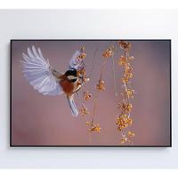 Quadro Beija Flor 60x40 Cm Tecido Canvas - 2