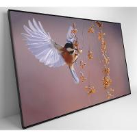 Quadro Beija Flor 60x40 Cm Tecido Canvas