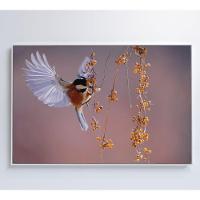 Quadro Beija Flor 60x40 Cm Tecido Canvas - 6