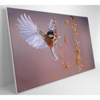 Quadro Beija Flor 60x40 Cm Tecido Canvas - 7