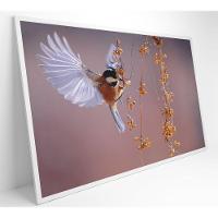 Quadro Beija Flor 60x40 Cm Tecido Canvas - 8