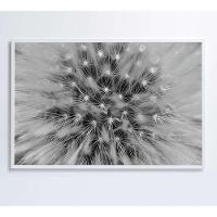 Quadro Dente De Leão Zoom 120x80 Cm Tecido Canvas - 1