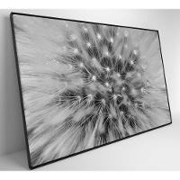 Quadro Dente De Leão Zoom 120x80 Cm Tecido Canvas