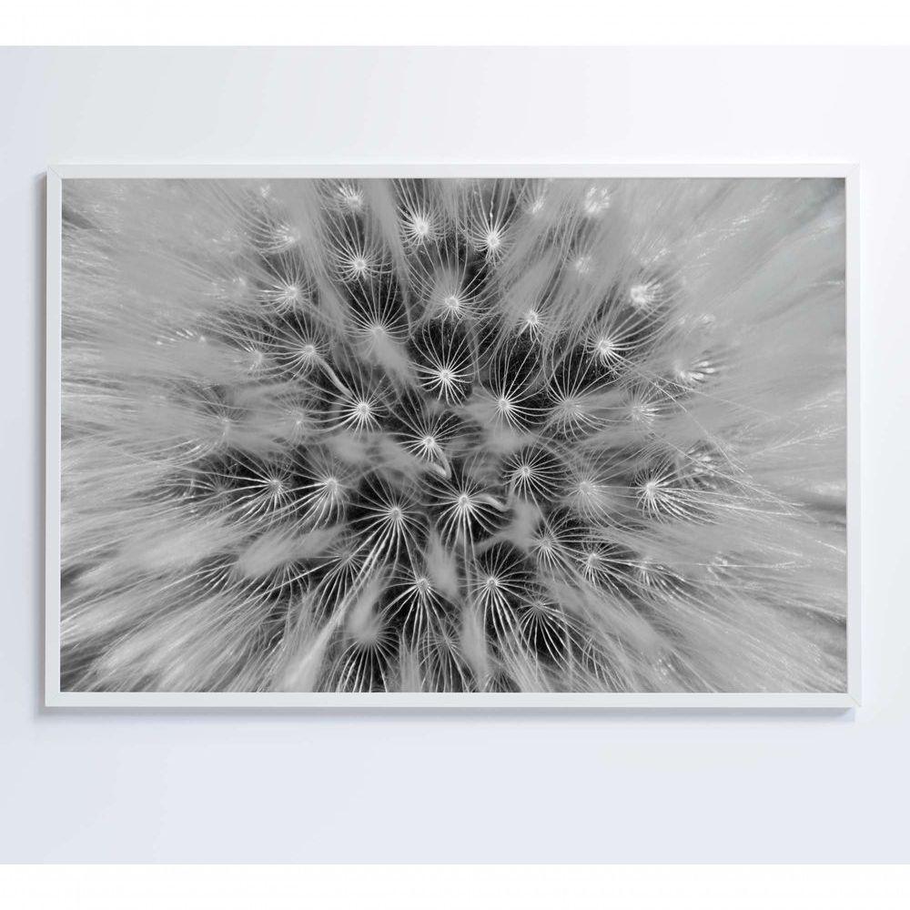 Quadro Dente De Leão Zoom 90x60 Cm Tecido Canvas - 1