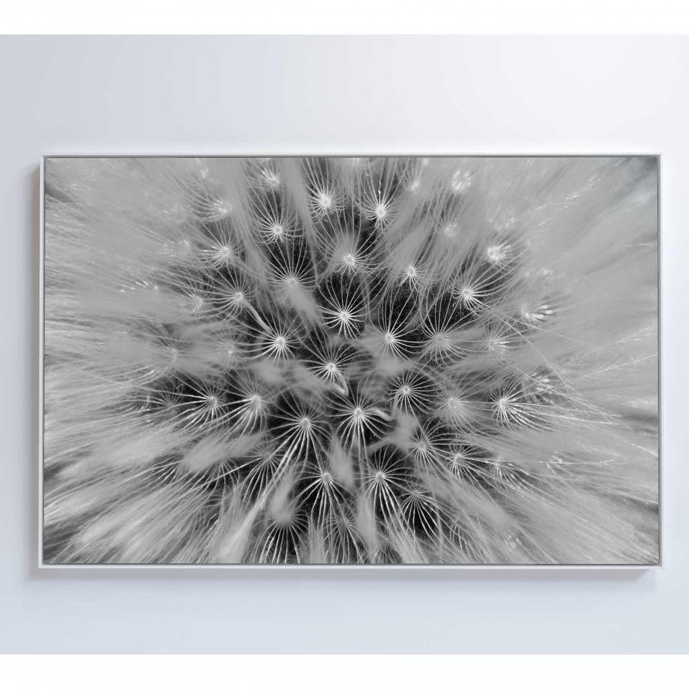 Quadro Dente De Leão Zoom 90x60 Cm Tecido Canvas - 6