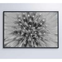 Quadro Dente De Leão Zoom 90x60 Cm Tecido Canvas - 3