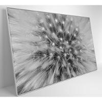 Quadro Dente De Leão Zoom 90x60 Cm Tecido Canvas - 7