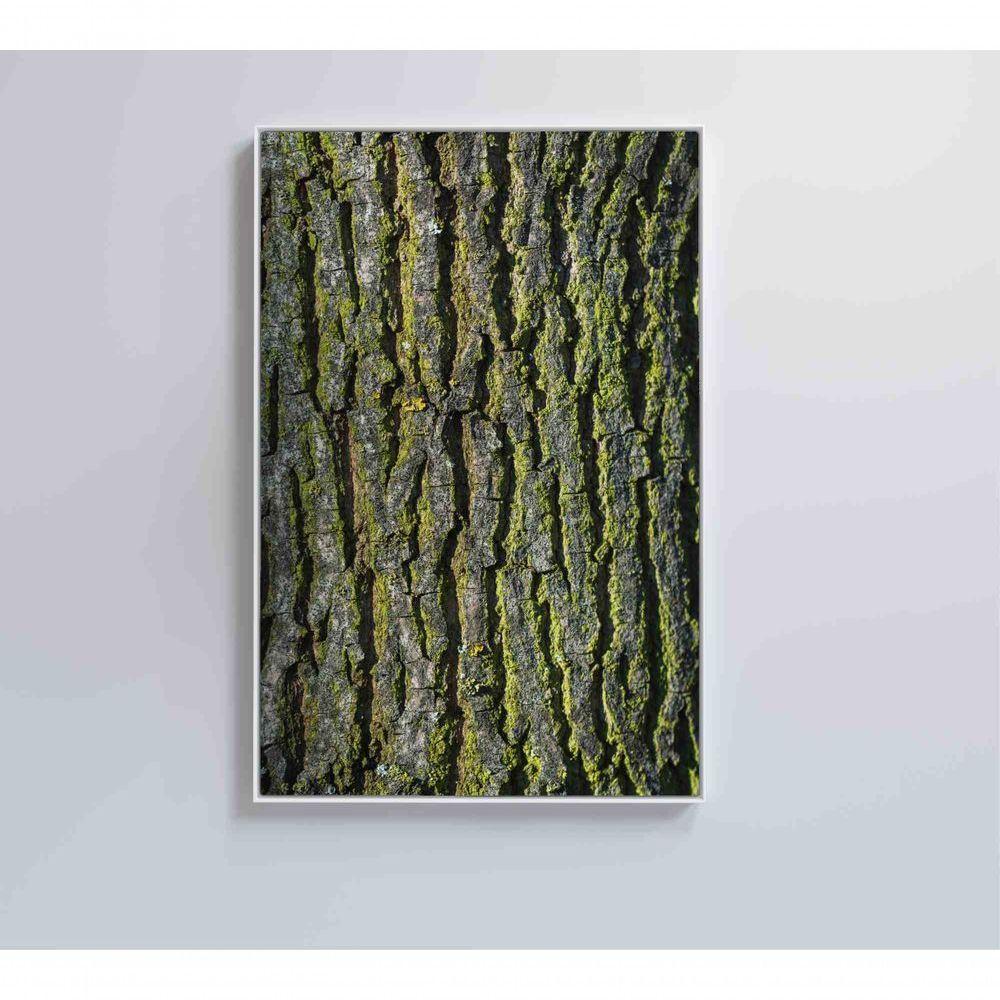 Quadro Tronco árvore 40x60 Cm Tecido Canvas - 1