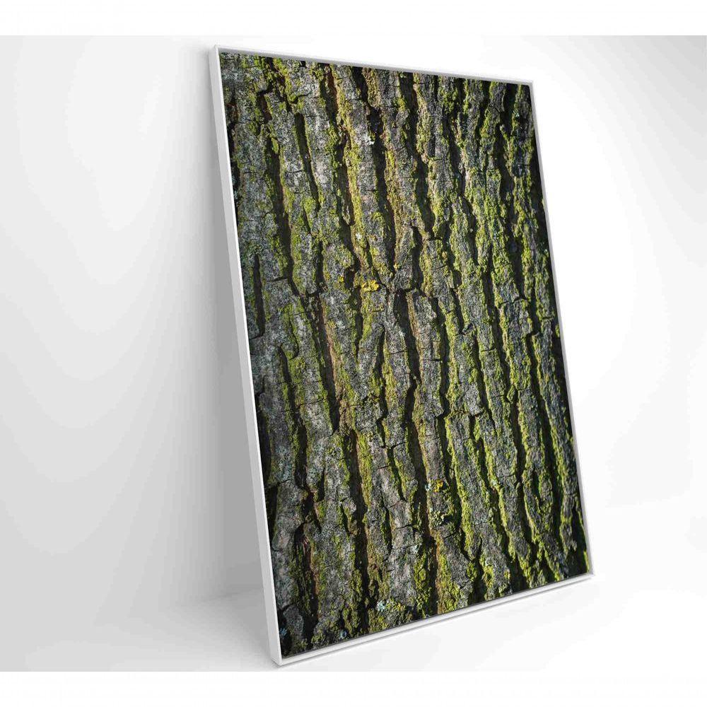 Quadro Tronco árvore 40x60 Cm Tecido Canvas - 3