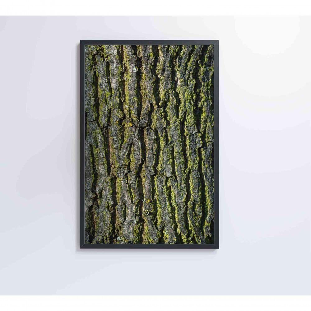 Quadro Tronco árvore 40x60 Cm Tecido Canvas - 5