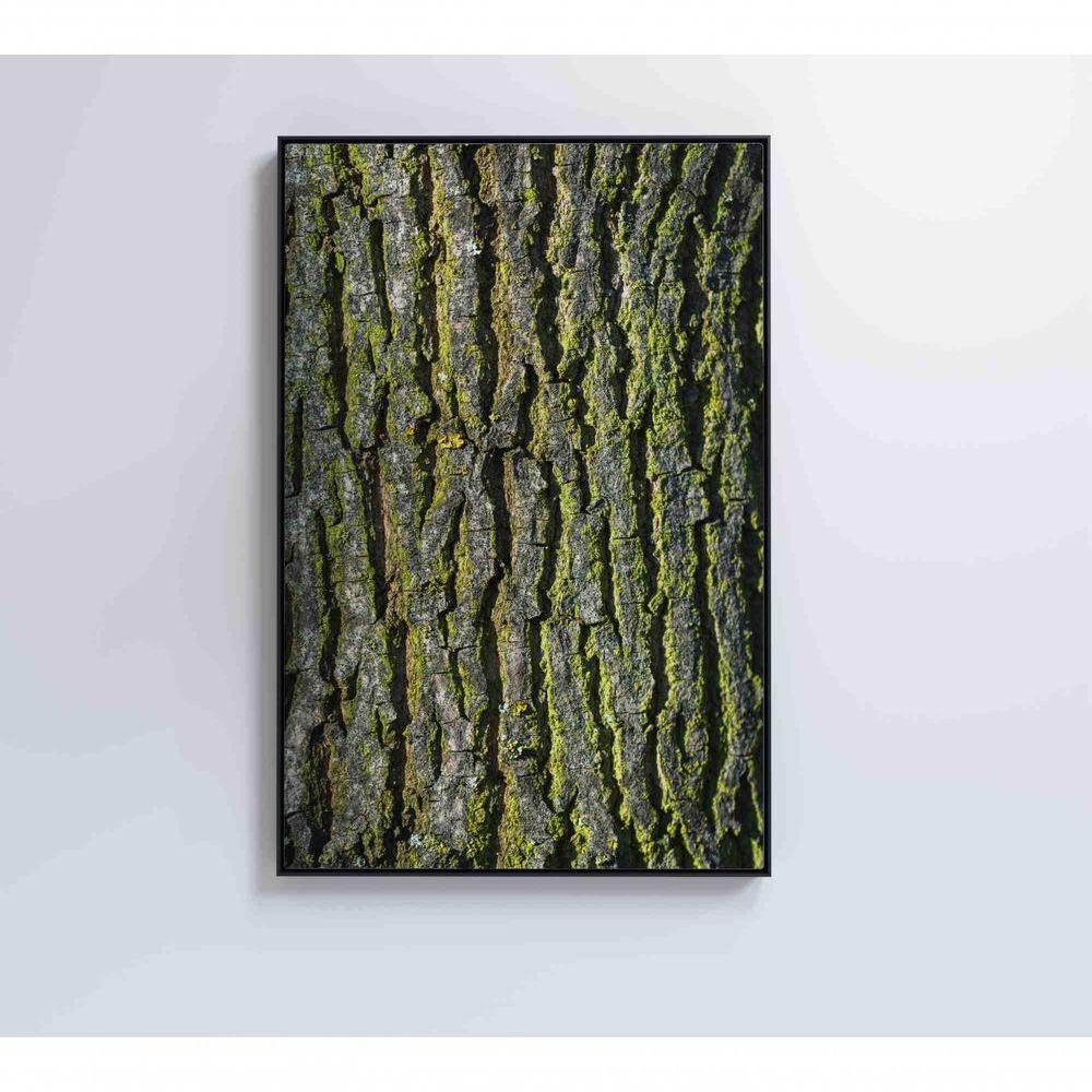 Quadro Tronco árvore 40x60 Cm Tecido Canvas - 6