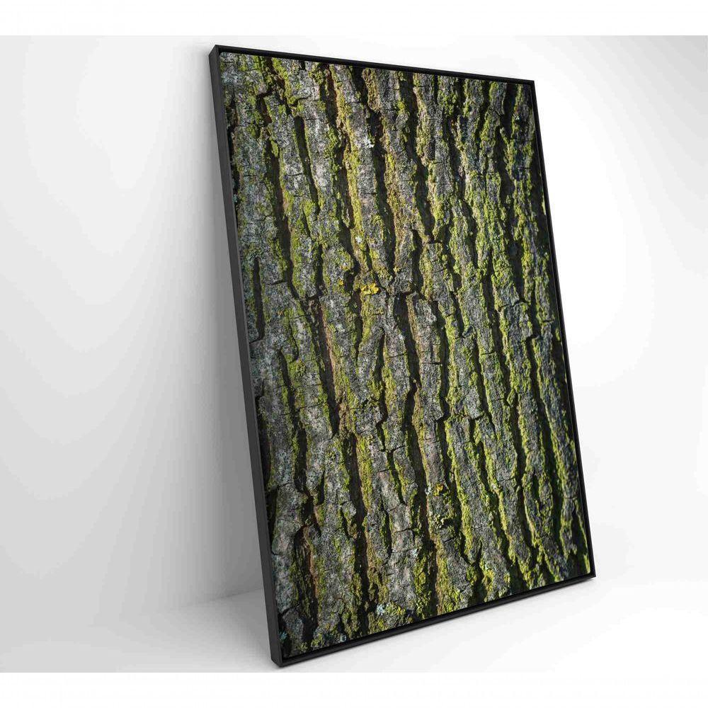Quadro Tronco árvore 40x60 Cm Tecido Canvas - 7